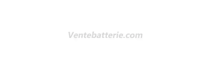 Batterie Drone